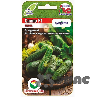 Огурец Спино СибСад Ц