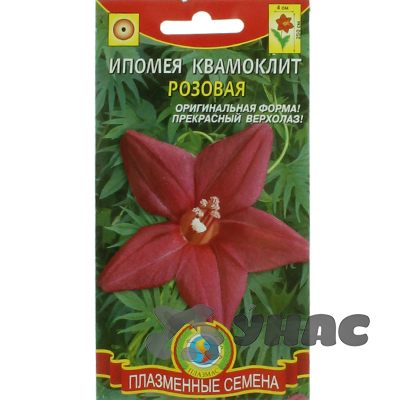 Ипомея Квамоклит Розовая Плазма Ц 
