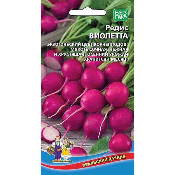 Редис Виолетта Марс Ц