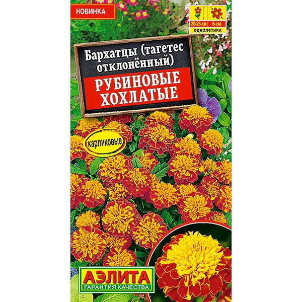 Бархатцы Рубиновые хохлатые Аэлита Ц 