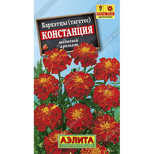 Бархатцы Констанция гибридные Аэлита Ц 