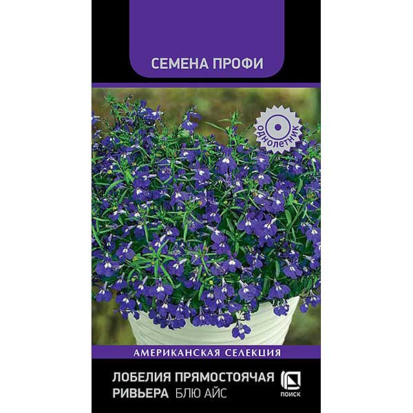 Лобелия Ривьера Блю Айс Поиск Ц 