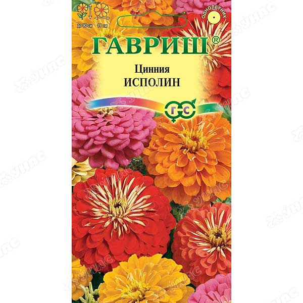 Циния Исполин смесь Гавриш Ц 