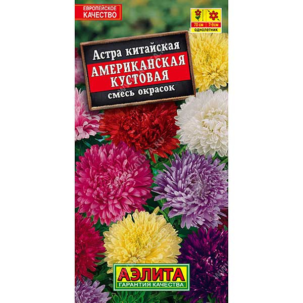 Астра Американская кустовая  Аэлита Ц 
