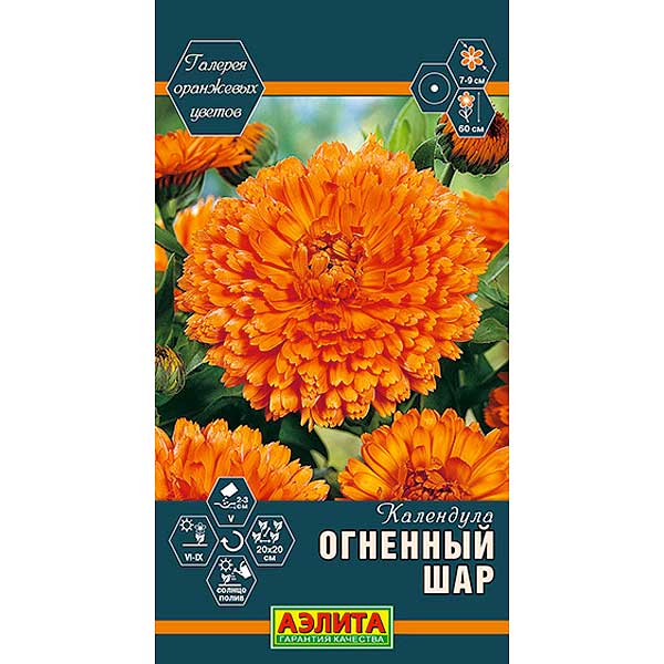 календула Огненный шар Аэлита Ц 