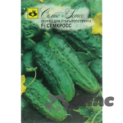Огурец Семкросс Семко Ц