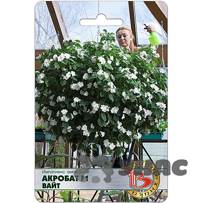 Импатиенс Акробат Вайт Биотехника Ц 