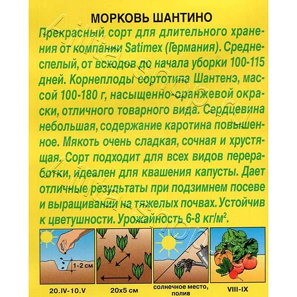 Морковь Шантино Аэлита Цx10