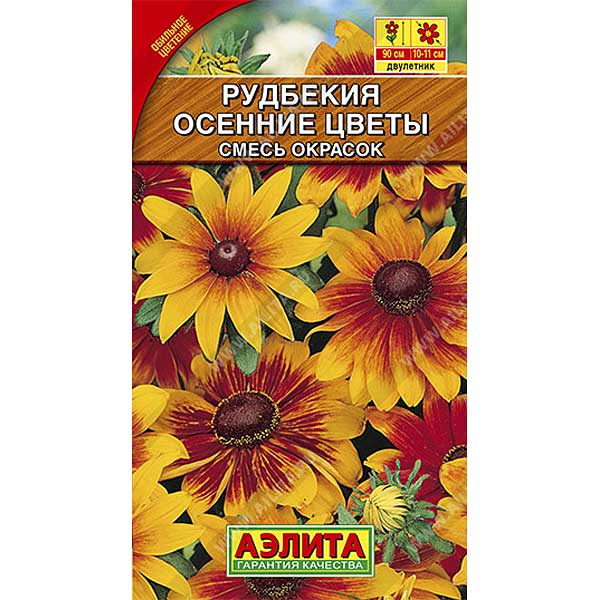 Рудбекия Осенние цветы Аэлита Ц 