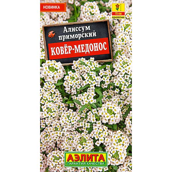 Алиссум Ковер-медонос Аэлита Ц 