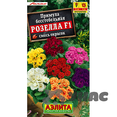 Примула Розелла смесь окрасок Аэлита Ц 
