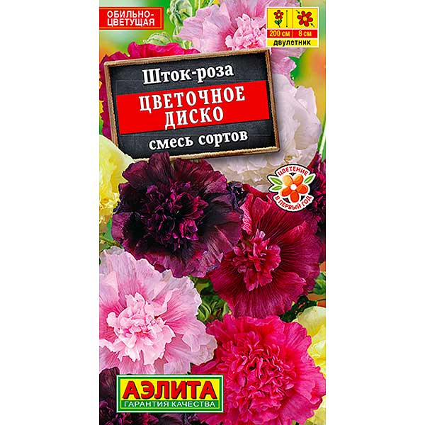 Шток-роза Цветочное диско Аэлита Ц 