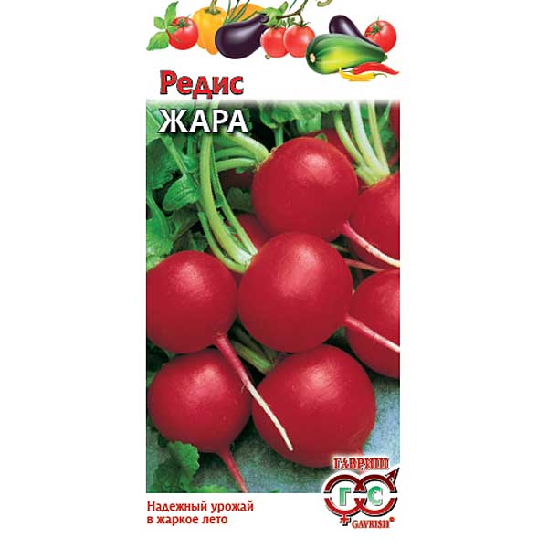 Редис Жара  Гавриш Ц