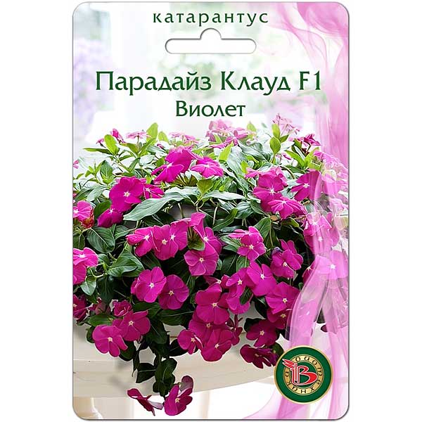 Катарантус Парадайз Клауд Виолет Биотехника Ц 