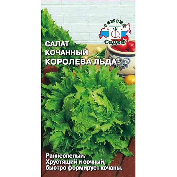 Салат Королева льда (айсберг) Седек Ц