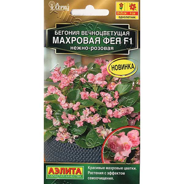 КОМ Бег Фея нежно-розовая  Аэлита Ц х10 