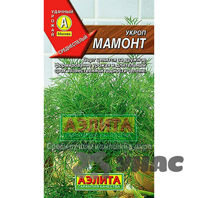 Укроп Мамонт Аэлита Ц