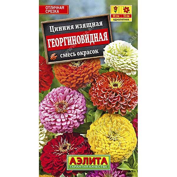 Циния Георгиновидная Аэлита Ц х10 