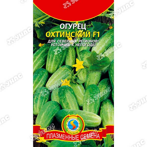 Огурец Охтинский Плазма Ц