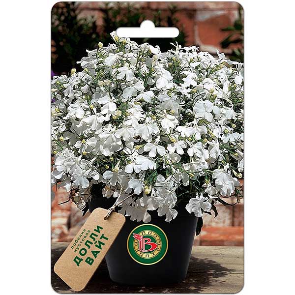 Лобелия Долли Вайт  Биотехника Ц 