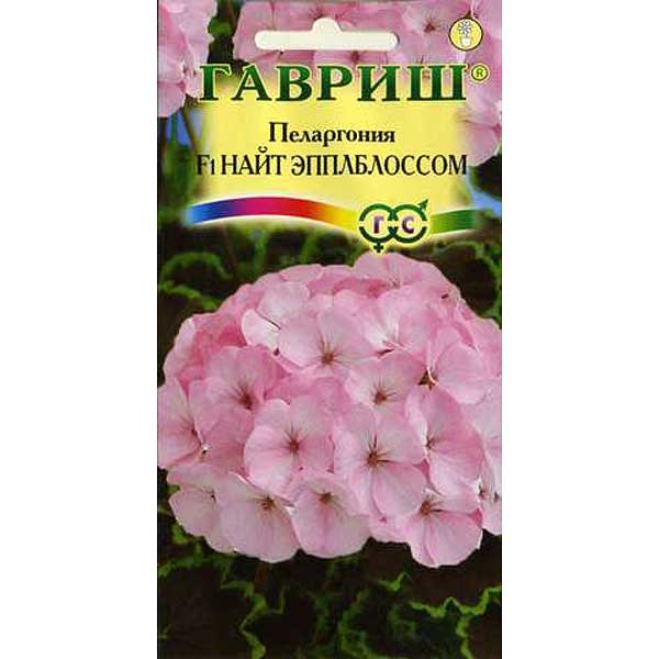 КОМ Пеларгония Найт Эплблоссом Гавриш Ц 