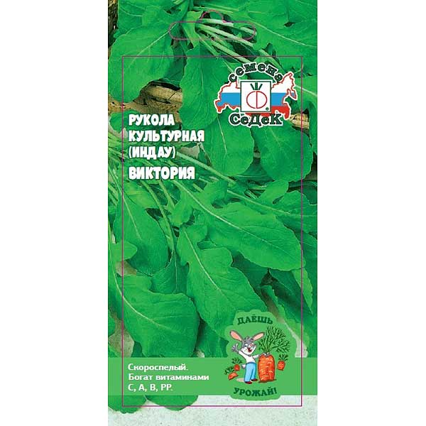 Рукола Виктория (рокет салат) Седек Ц x10