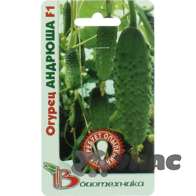 Огурец Андрюша Биотехника Ц