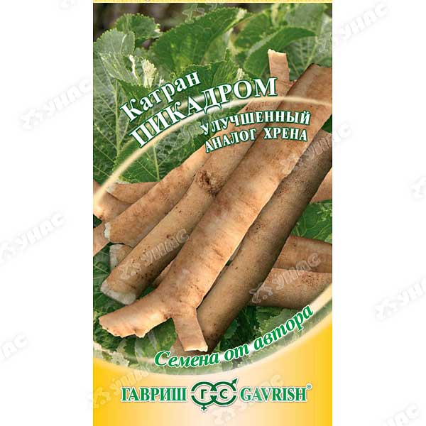 Катран Пикадром Гавриш Ц