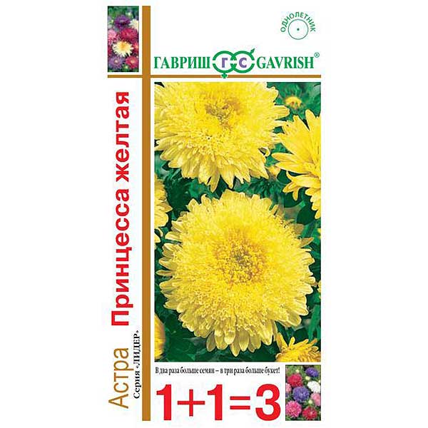 Астра Принцесса желтая 1+1 Гавриш Ц 