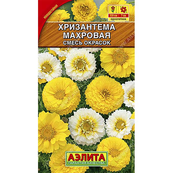 Хризантема Увенчанная махр. смесь Аэлита Ц 
