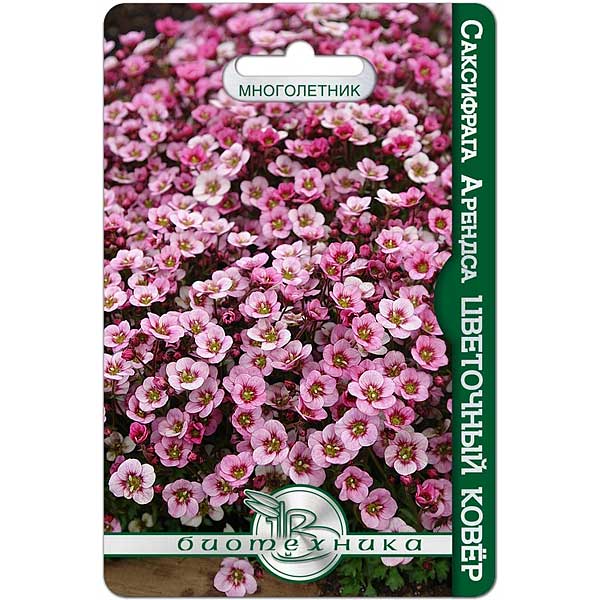 Саксифрага Арендса Цветочный ковер Биотехника Цх10 