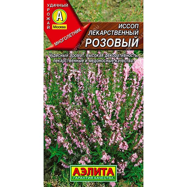 Иссоп лекарственный розовый Аэлита Ц
