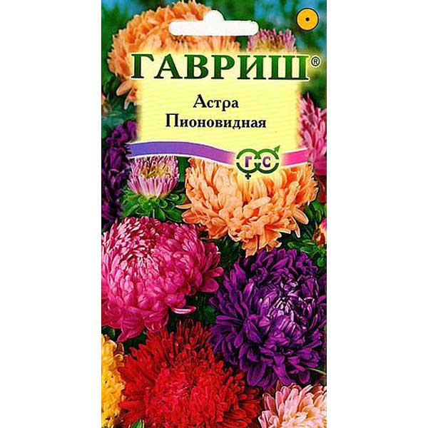 Астра Пионовидная смесь Гавриш Ц 