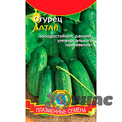 Огурец  Алтай Плазма Ц