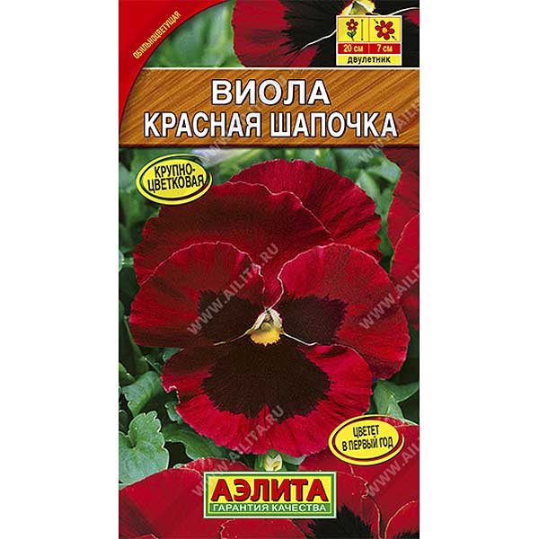 Виола Красная шапочка Аэлита Ц 