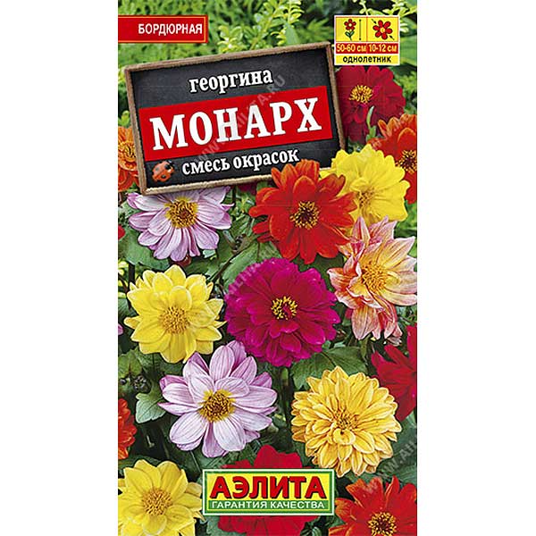 Георгин Монарх смесь Аэлита Ц 