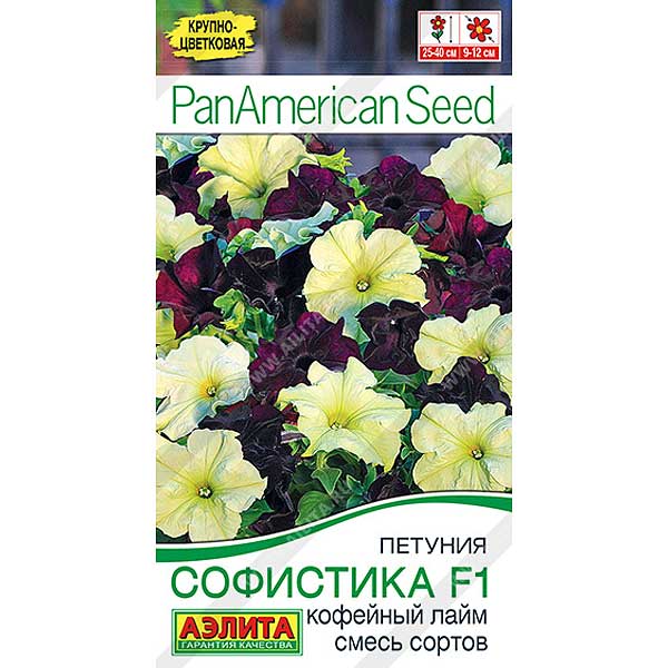 Петуния Софистика кофейный лайм  Аэлита Цх10 