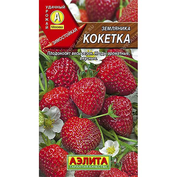 Земляника Кокетка ремонт.крупнопл.10шт  Аэлита Ц
