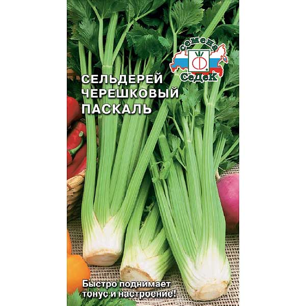 Сельдерей Паскаль Седек Ц