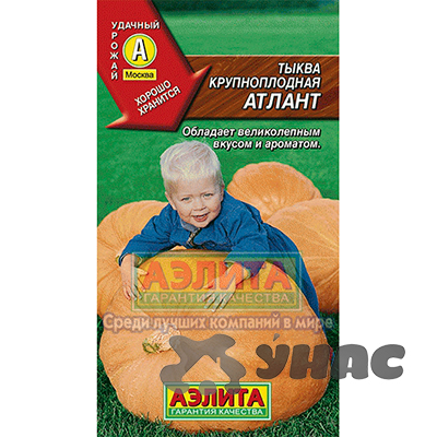 Тыква Атлант Аэлита Ц