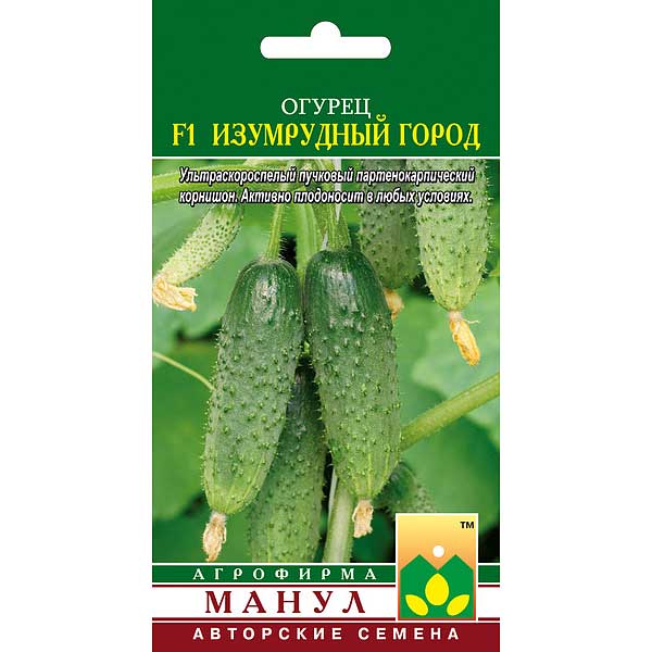 Огурец Изумрудный город Манул Ц