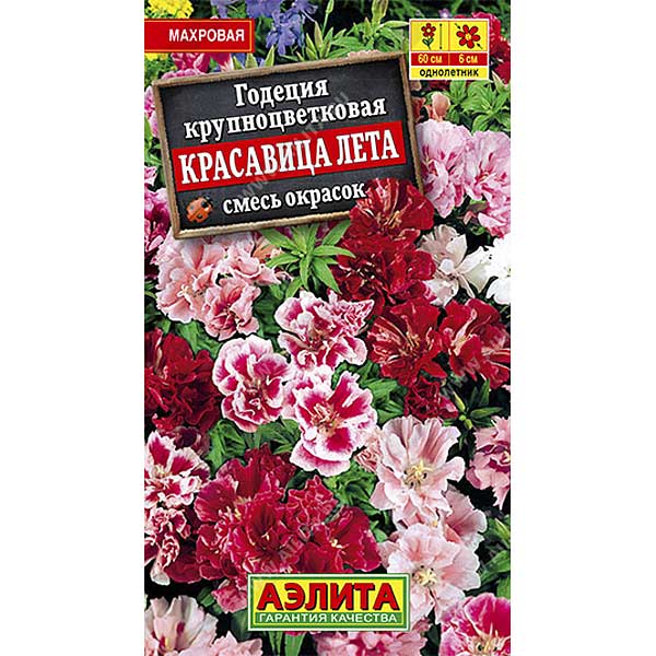 Годеция Красавица лета Аэлита Ц 