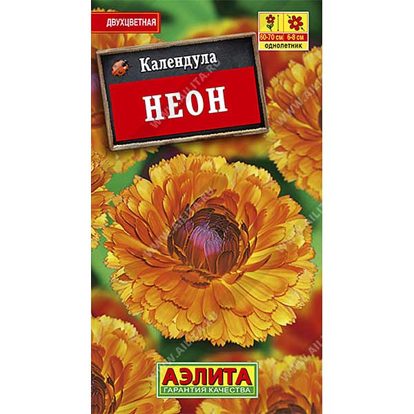 Календула Неон Аэлита Ц 