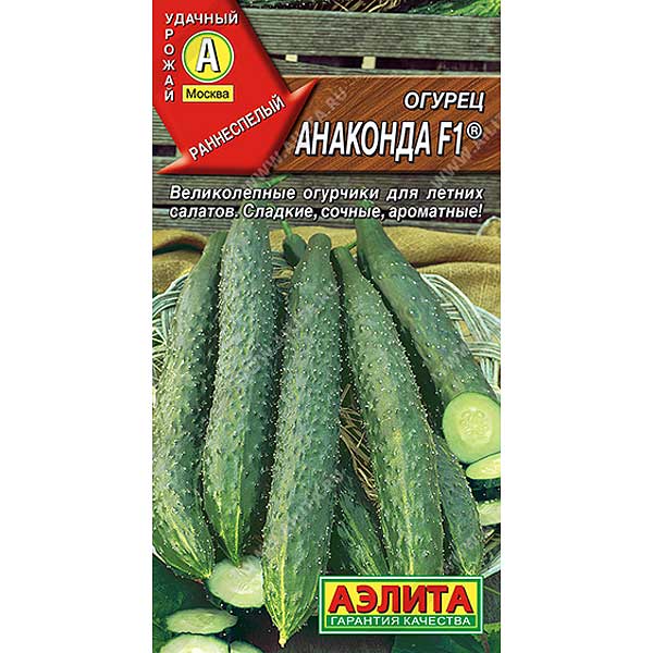 Огурец Анаконда китайский Аэлита Ц