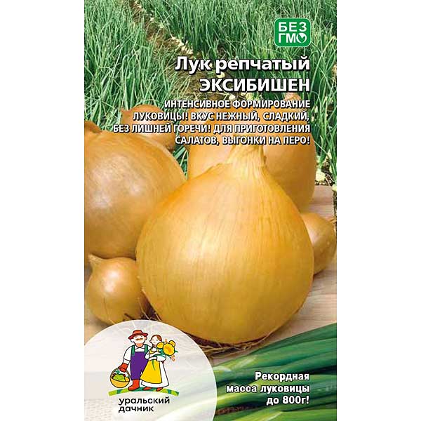 Лук Эксибишен Марс Ц