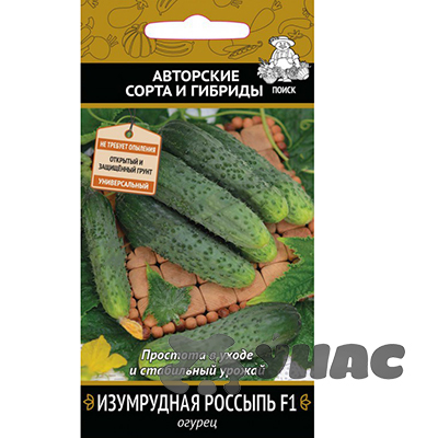 Огурец Изумрудная россыпь Поиск Ц