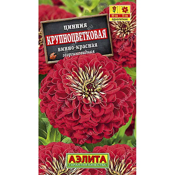 Циния Крупноцветковая винно-красная Аэлита Ц х10 