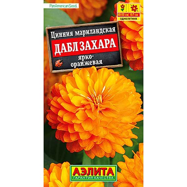 Циния Дабл Захара ярко-оранж Аэлита Ц 