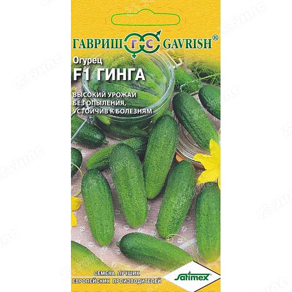 Огурец Гинга Гавриш Ц
