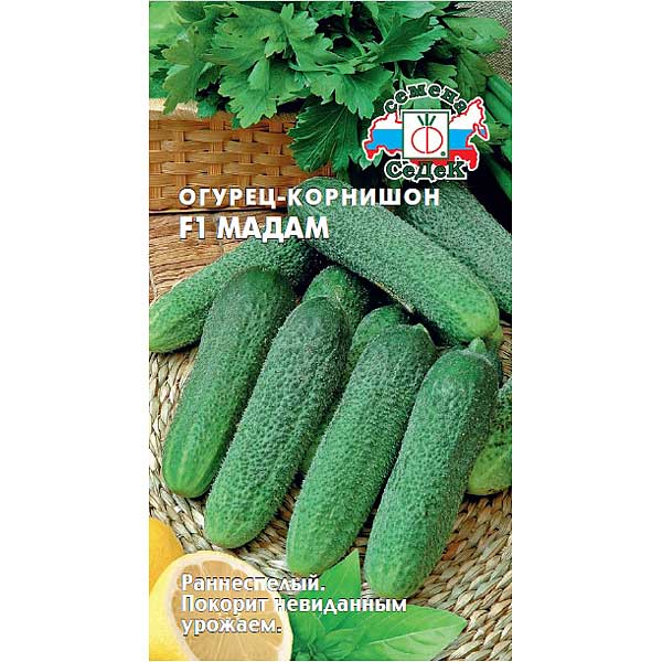 Огурец Мадам Седек Ц